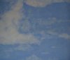img_166586.jpg