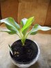 DSCN0929.JPG