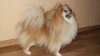 DSCF3425.JPG