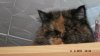 DSCF3431.JPG