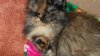 DSCF3715.JPG