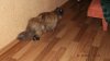 DSCF3719.JPG