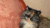 DSCF3717.JPG