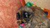 DSCF3713.JPG