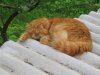 100_0060.JPG
