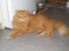 100_0071.JPG