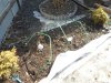 DSCN1062.JPG