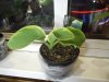 DSCN1165.JPG