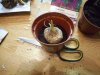 DSCN1180.JPG