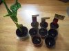 DSCN1190.JPG