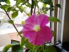 DSCN1228.JPG