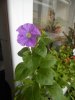DSCN1231.JPG