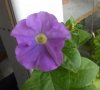 DSCN1230.JPG