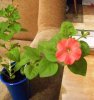 DSCN1268.JPG