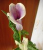 DSCN1276.JPG