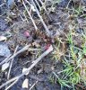 DSCN1261.JPG