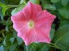 DSCN1310.JPG
