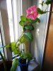 DSCN1318.JPG