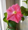 DSCN1319.JPG