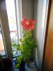 DSCN1320.JPG