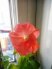 DSCN1321.JPG