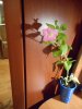 DSCN1332.JPG
