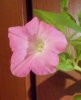 DSCN1329.JPG