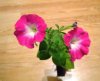 DSCN1409.JPG