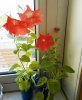 DSCN1428.JPG