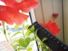 DSCN1429.JPG