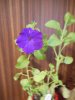 DSCN1463.JPG