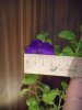 DSCN1468.JPG