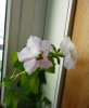 DSCN1435.JPG