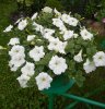 DSCN1594.JPG