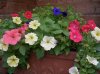 DSCN1614.JPG