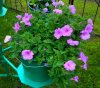 DSCN1629.JPG
