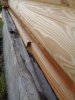DSC03334.JPG