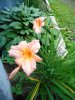 DSCN1726.JPG