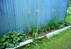 DSCN1731.JPG