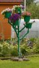 DSCN1653.JPG