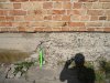 DSC04968.JPG