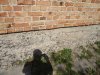 DSC04969.JPG