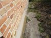 DSC04972.JPG