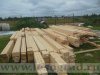 DSCN0065.JPG