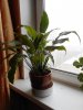 DSCN2067.JPG