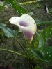 DSCN1718.JPG