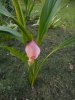 DSCN1719.JPG