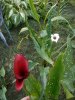 DSCN1720.JPG