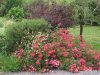 DSC07402.JPG