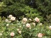 DSC07304.JPG